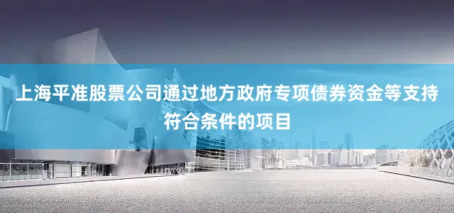 上海平准股票公司通过地方政府专项债券资金等支持符合条件的项目