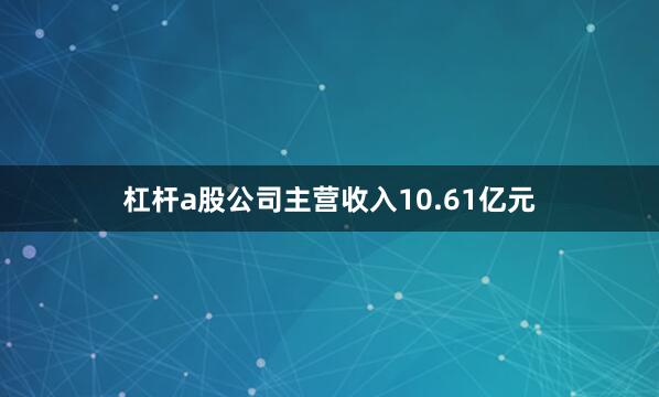 杠杆a股公司主营收入10.61亿元