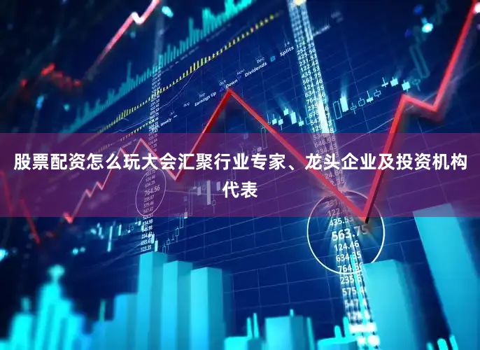 股票配资怎么玩大会汇聚行业专家、龙头企业及投资机构代表